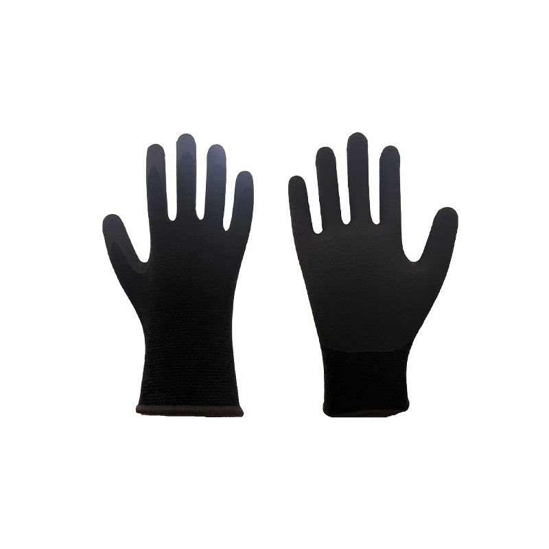 Gloves holoserica eidem Ver et Autumno